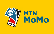 MTN Money